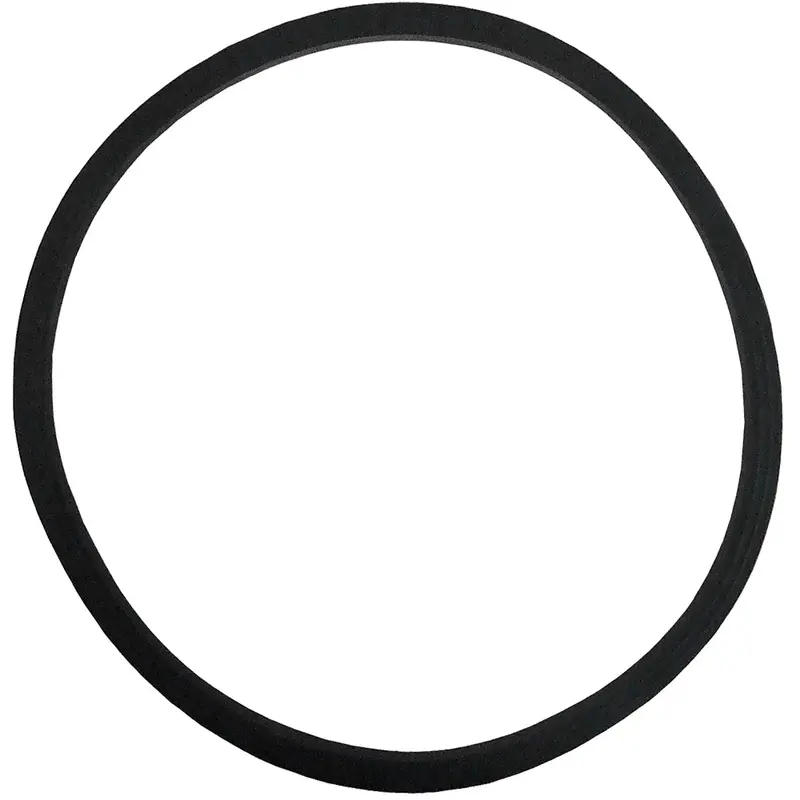Replacement Lid Gasket For 2.5-Gallon Pressure Tank – Model 51-220-P 1