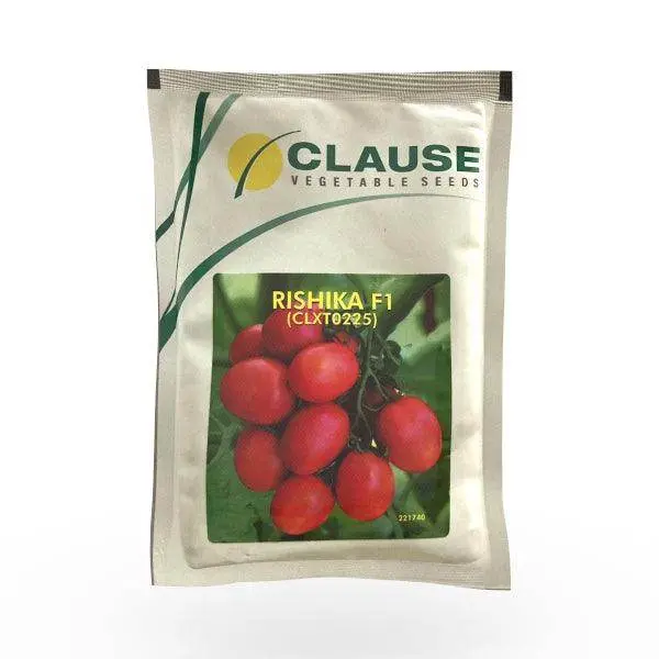 Rishika F1 Tomato Seeds – Crisp, Flavorful Hybrid (Clause Seeds) 1