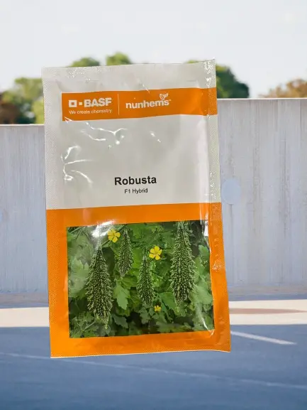 Robusta F1 Bitter Gourd Seeds – Nunhems Tropical Climber Hybrid 1
