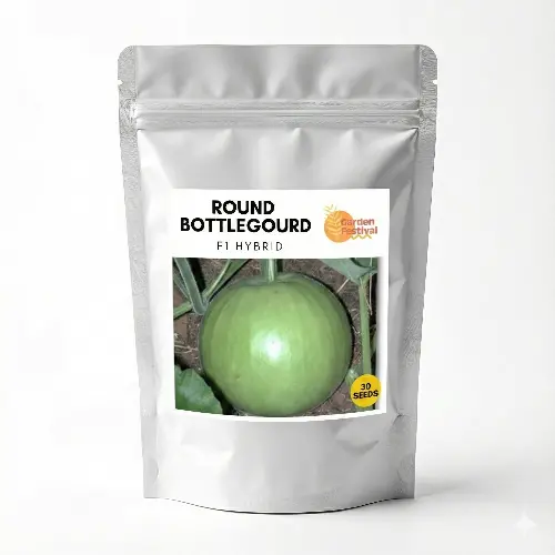 Round Bottle Gourd Seeds – Uniform, High-Yield Hybrid 1