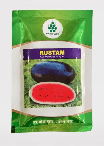 Rustam Nath F1 Hybrid Watermelon Seeds – Nath Seeds Regional Adaptation 1