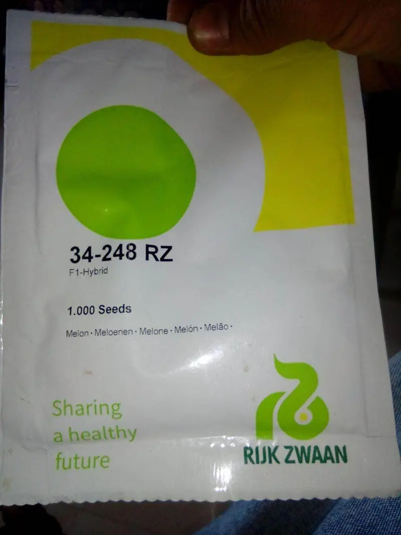 Rz 34-248 Muskmelon Seeds – Rijk Zwaan Polyhouse-Adapted F1 Hybrid 1