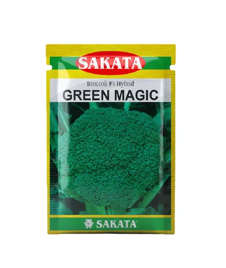 Sakata Green Magic F1 Broccoli Seeds 1