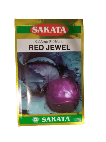 Sakata Red Jewel F1 Cabbage Seeds 1