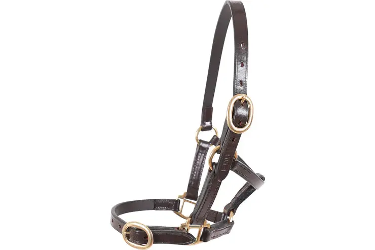 Sales Premium Leather Headcollar – Reinforced & Stylish 1