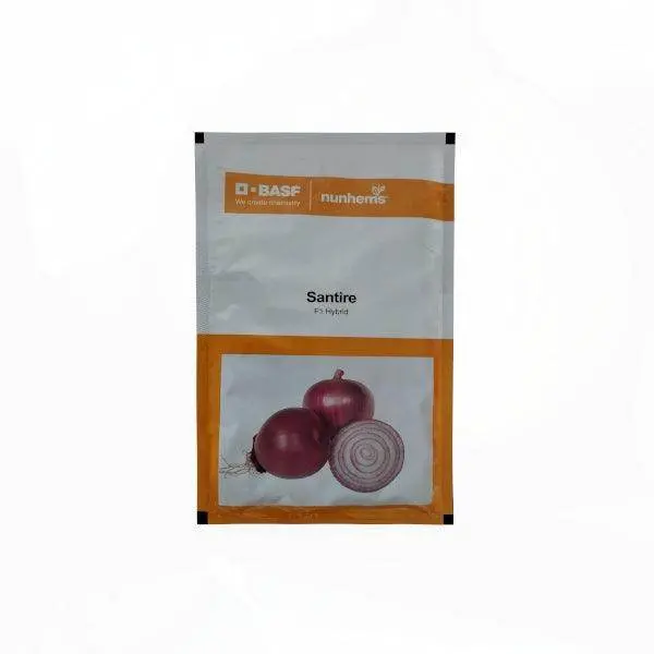 Santire F1 Onion Seeds – Nunhems High-Yield Hybrid 1