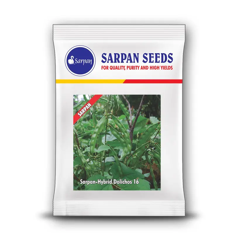 Sarpan Dolichos-16 Bush-Type All-Season Vegetable Seeds 1