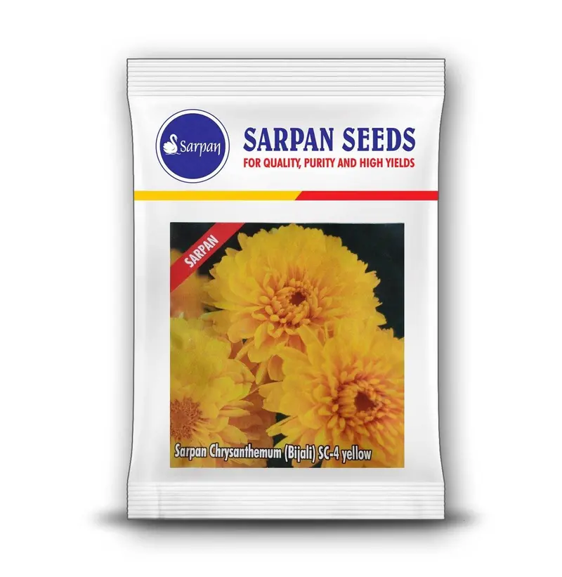 Sarpan Sc-4 Yellow Hybrid Bijali Chilli Seeds 1
