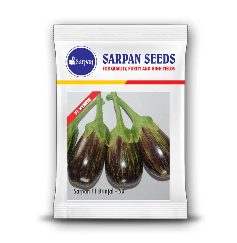 Sarpan Seeds Brinjal -50 F1 Hybrid Eggplant 1
