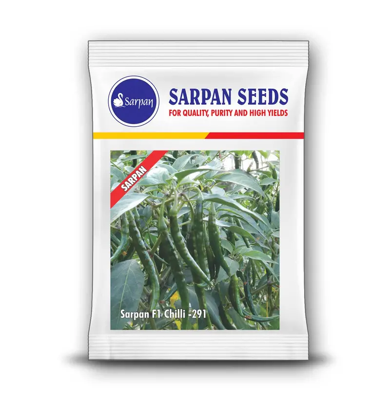 Sarpan Seeds Chilli -291 F1 Hybrid Cultivar 1