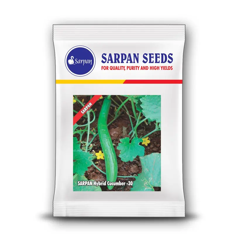 Sarpan Seeds Cucumber -30 F1 Hybrid Variety 1
