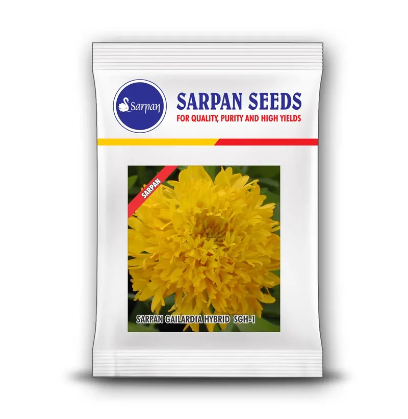 Sarpan Seeds Gailardia -11 F1 Hybrid Yellow Flowering Plant 1