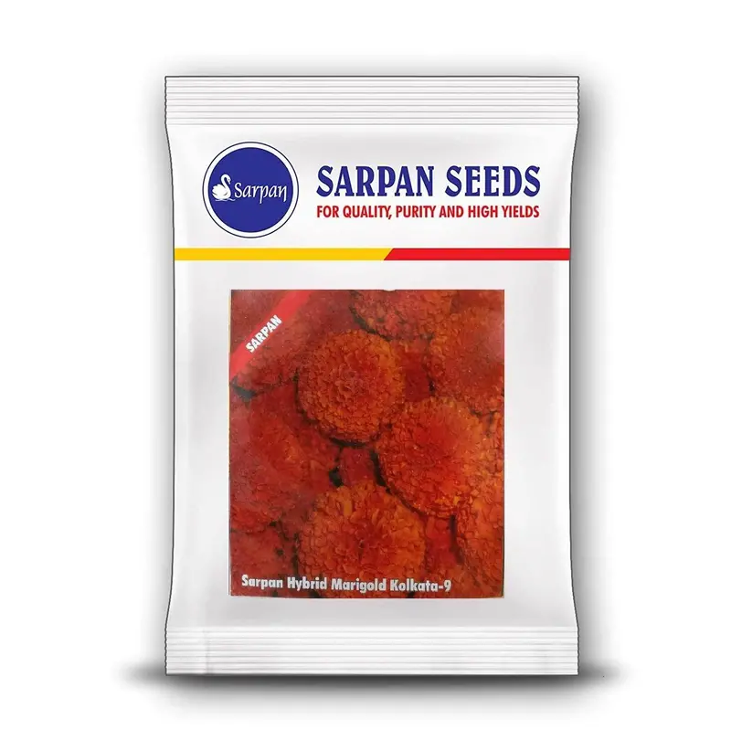Sarpan Seeds Saf 11/33 Kolkata Tennis Ball-Type Marigold 1