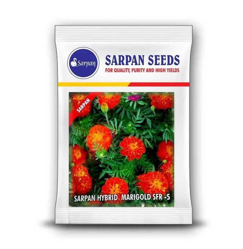 Sarpan Sfr-5 French Marigold Hybrid Seeds 1