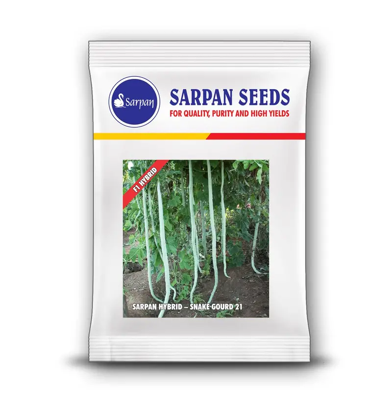 Sarpan Snake Gourd-21 F1 Hybrid Seeds 1