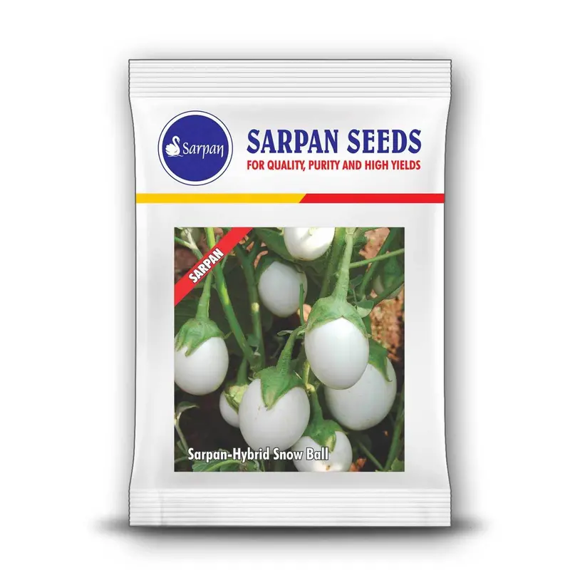 Sarpan Snow Ball F1 White Brinjal Hybrid Seeds 1
