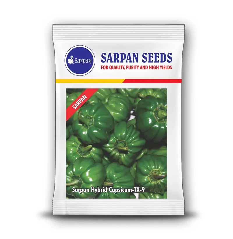Sarpan Tx-9 F1 Hybrid Capsicum Pepper 1