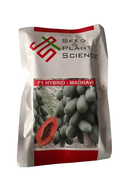 Seed & Plant Science Madhavi F1 Hybrid Papaya 1