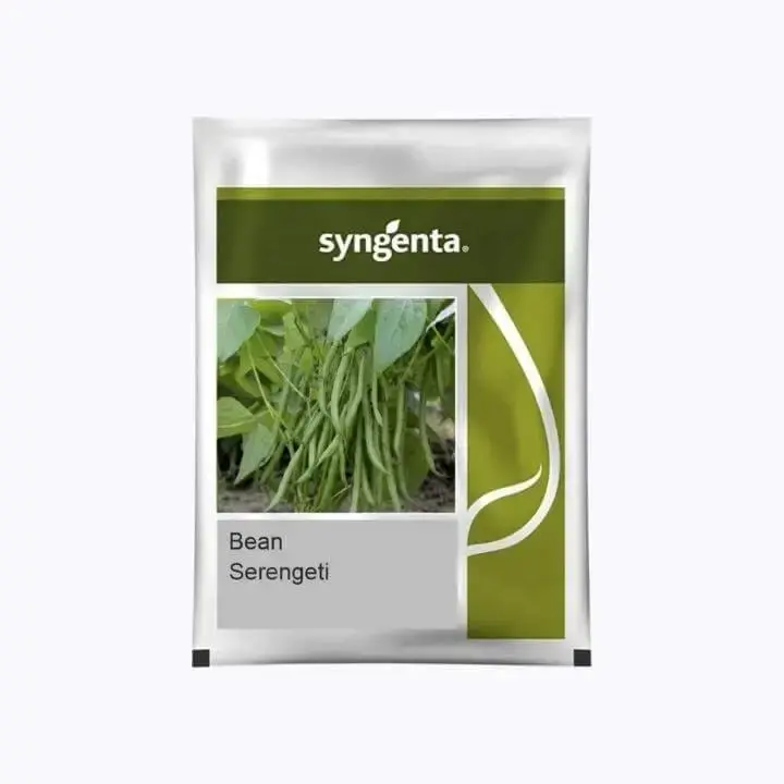 Serengeti Snap Bean Seeds – High-Yield, Stringless, Heat-Tolerant Variety 1