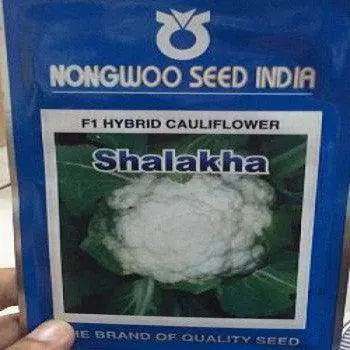 Shalakha Cauliflower Seeds – Nongwoo Seed India 1