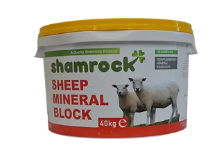 Shamrock Sheep Mineral Block – Standard Size 1