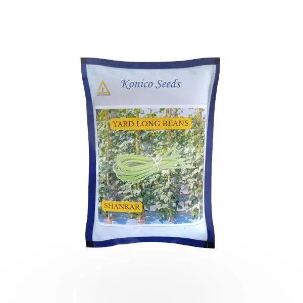 Shankar Yard-Long Bean Seeds – High-Yield Climbing Variety From India 1