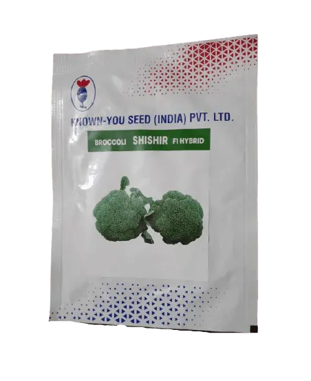 Shishir F1 Broccoli Seeds From Known You Seeds 1
