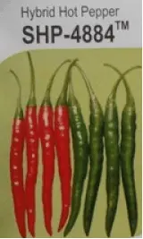 Shp-4884 Hot Pepper F1 Hybrid Seeds By Seminis 1