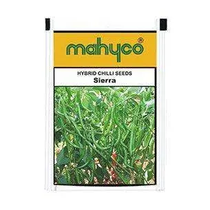 Sierra Chili Pepper Seeds – Mahyco Premium F1 Hot Variety 1