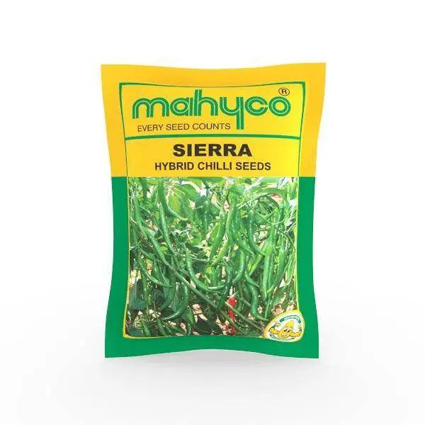 Sierra F1 Hot Pepper Seeds – Vigorous, High-Capacity Chilli Hybrid 1