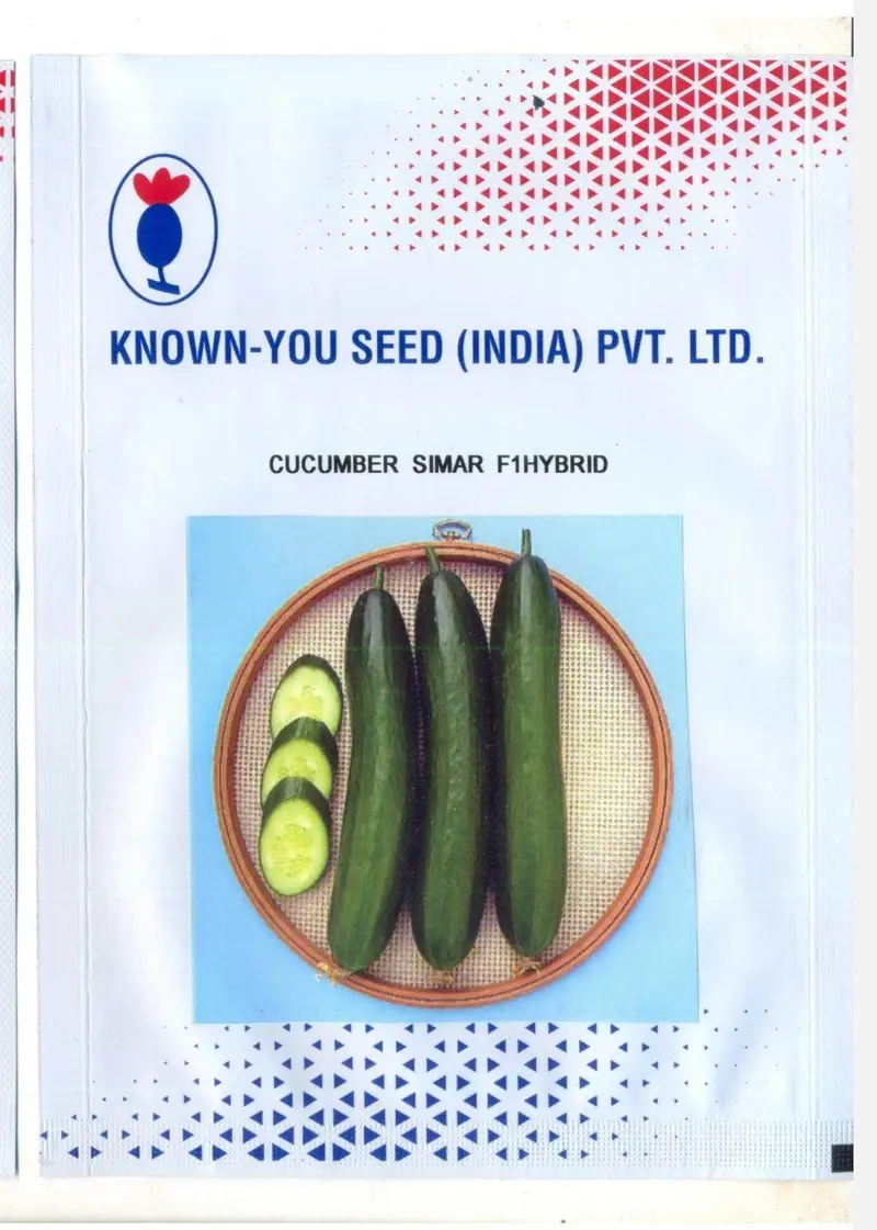 Simar Cucumber F1 Hybrid – Known You Seeds 1