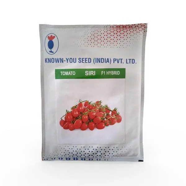 Siri F1 Cherry Tomato Seeds – Compact, Flavorful Hybrid 1