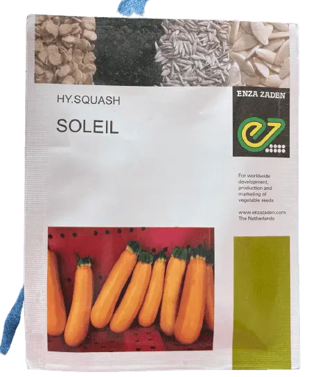 Soleil F1 Hybrid Zucchini Seeds – Vigorous & High-Yielding (Enza Zaden) 1