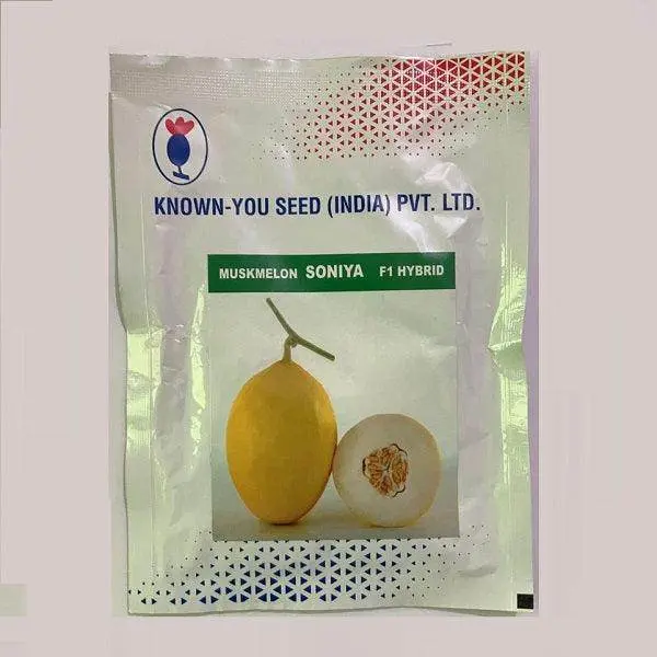 Soniya F1 Hybrid Sun-Type Muskmelon Seeds – Known You Cultivar 1