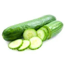 Subhiksha Cucumber Hybrid Variety – Known You Seeds 1