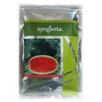 Sugar Queen Watermelon Seeds – F1 Hybrid With Exceptional Sweetness & Rind Strength (Syngenta) 1