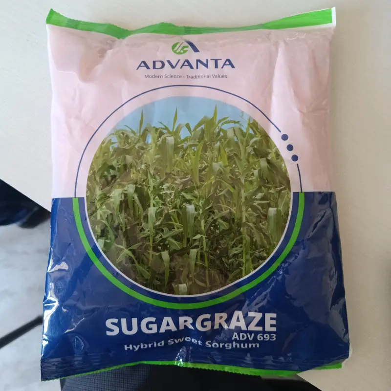 Sugargraze Adv 693 Sweet Sorghum Seeds – Forage & Biofuel Hybrid By Advanta 1
