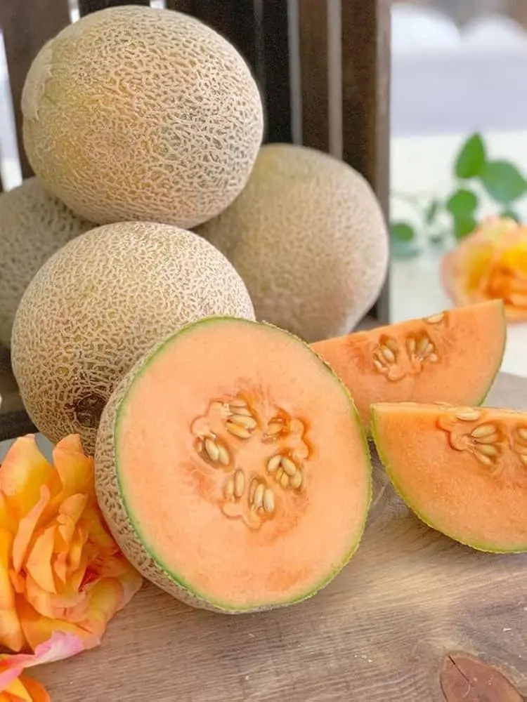 Super Crispy Muskmelon Seeds – Sweet, Aromatic, Crisp-Fleshed Hybrid 1