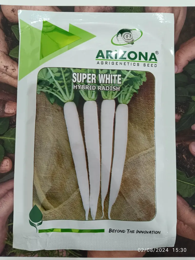Super White F1 Radish Seeds – Fast-Growing, Uniform Root Hybrid 1