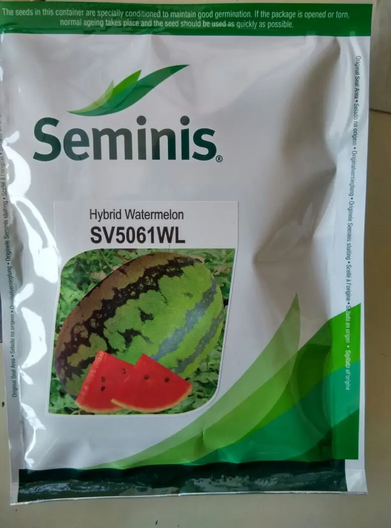 Sv5061Wl Hybrid Watermelon Seeds – Seminis 1