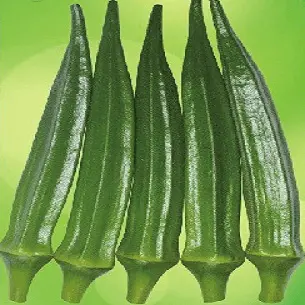 Svok1432 Okra F1 Hybrid Seeds By Seminis 1