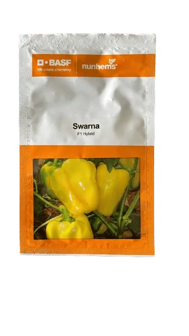 Swarna F1 Yellow Capsicum Seeds – Nunhems Hybrid 1