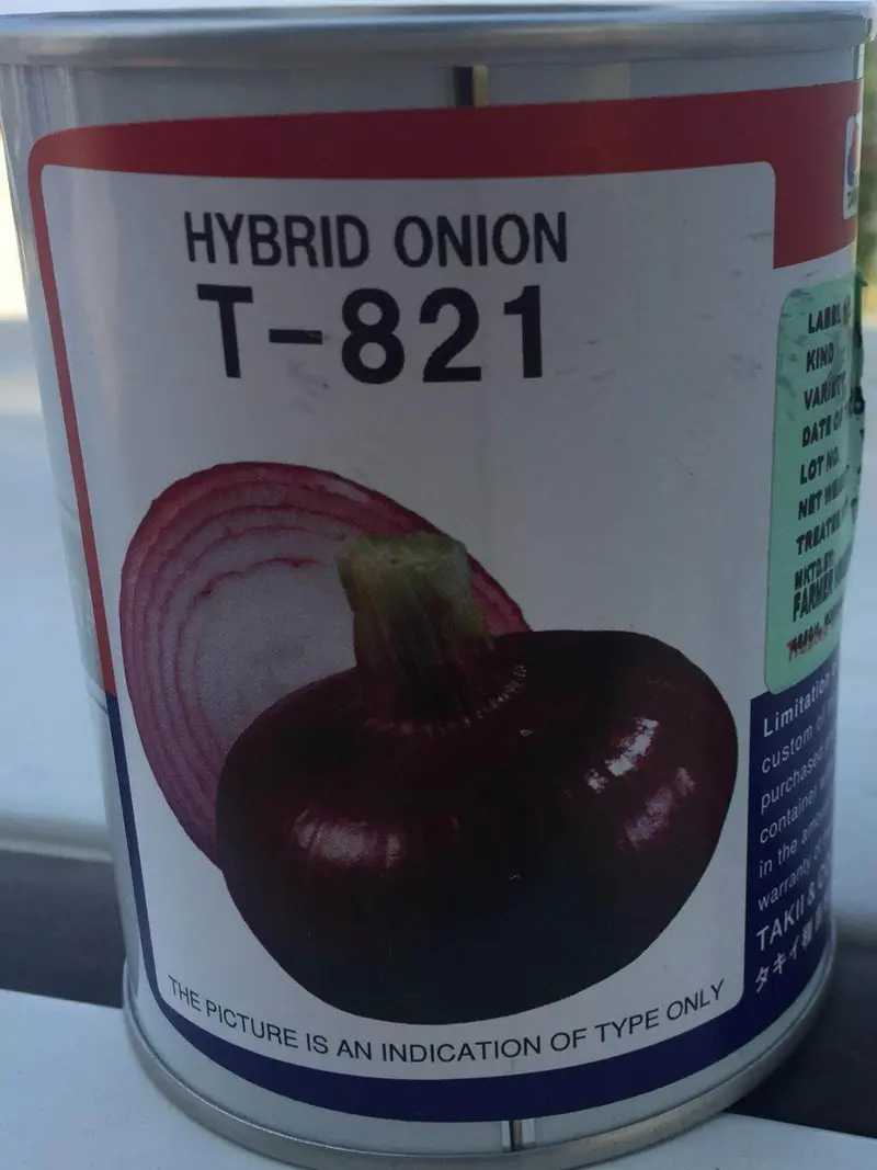 T-821 Hybrid Red Onion Seeds – Takii 1