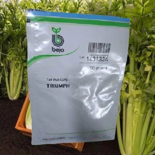 Tall Utah 52/70 F1 Celery Seeds – Bejo Green Triumph Variety 1