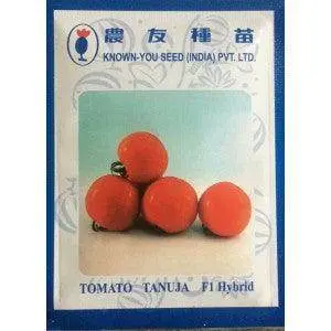 Tanuja Hybrid Tomato Seeds – Know You Seeds 1