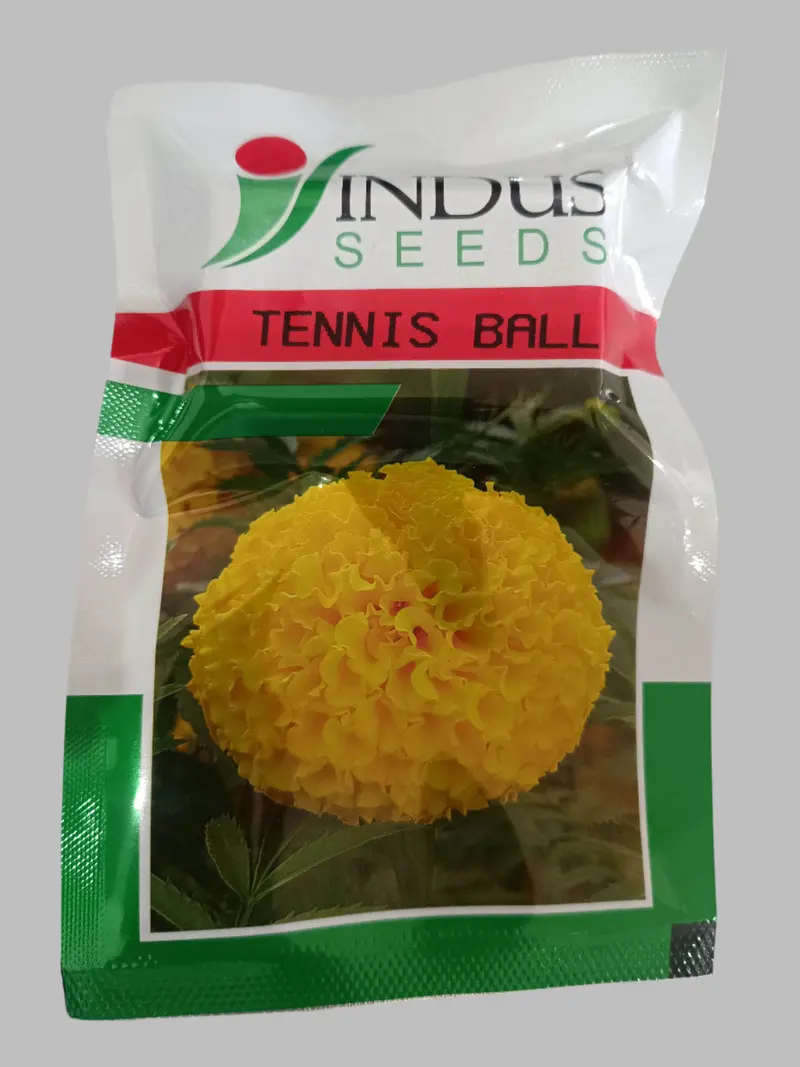 Tennis Ball F1 Yellow Marigold Seeds – Indus Seeds Uniform Bloom Type 1