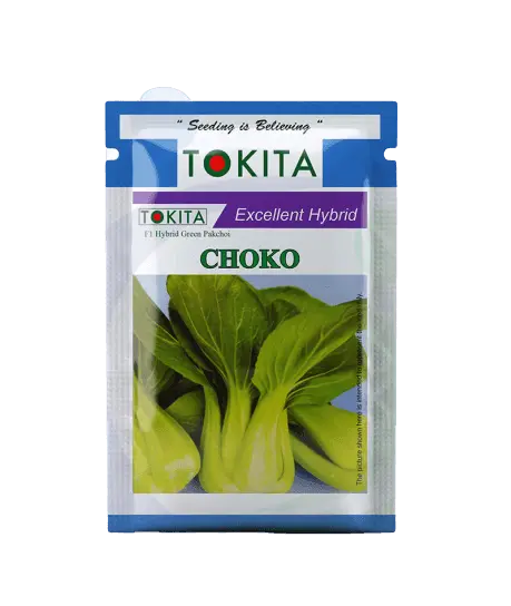 Tokita Choko Pakchoi F1 Hybrid Seeds 1