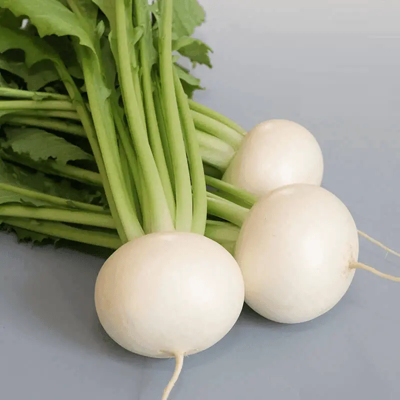 Tokyo Silky Sweet Turnip F1 – Garden Festival 1
