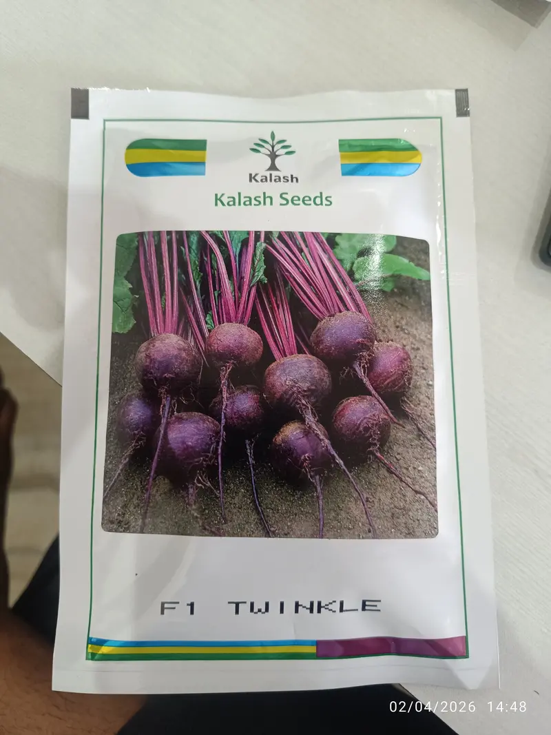 Twinkle F1 Hybrid Beetroot Seeds – High-Yield, Uniform Roots (Kalash) 1