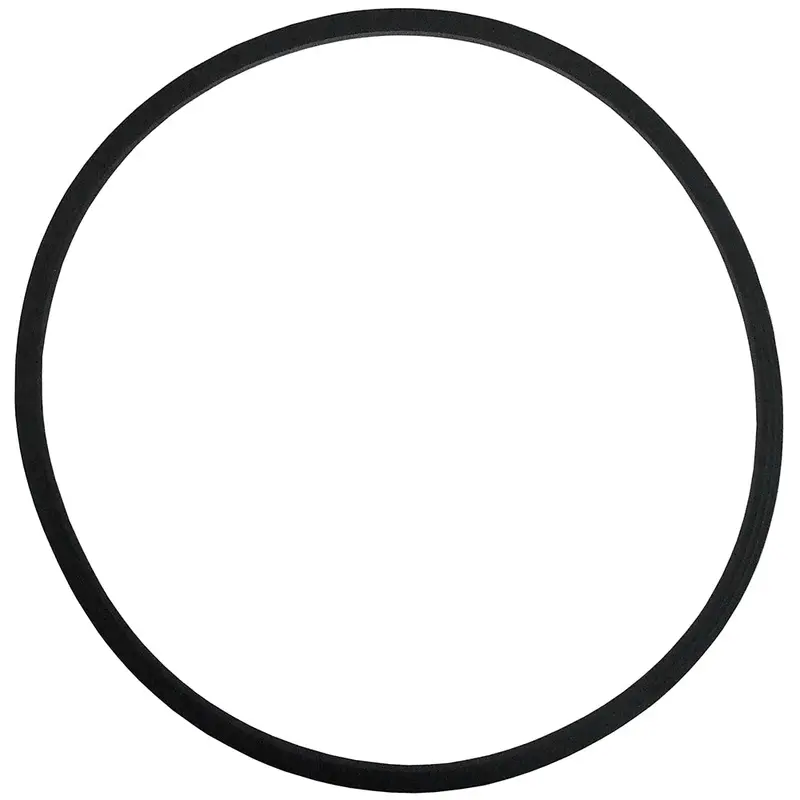 Universal Lid Gasket For 5-Gallon And 10-Gallon Pressure Tanks – Model 51-520-P 1
